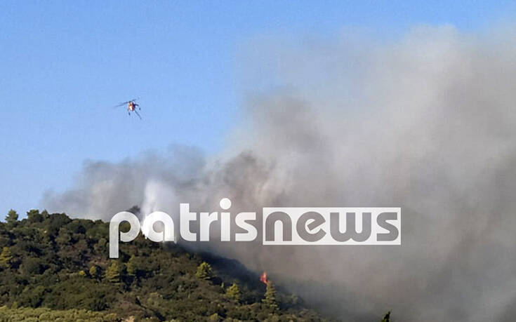 Απειλούνται σπίτια από τη φωτιά στην Ηλεία – Ζητήθηκε εκκένωση