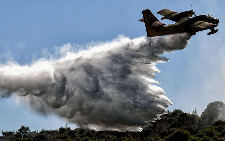 Σοφικό Κορινθίας: Εικόνες και βίντεο από τη φωτιά &#8211; Τεράστια επιχείρηση της Πυροσβεστικής
