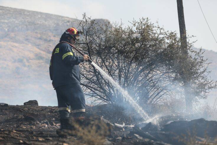 Υπό έλεγχο η φωτιά σε δασική περιοχή στη Ρόδο