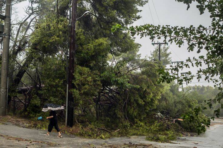 Συναγερμός και στη Λάρισα για την κακοκαιρία: Φουσκώνουν ρέματα – Προβλήματα στο οδικό δίκτυο