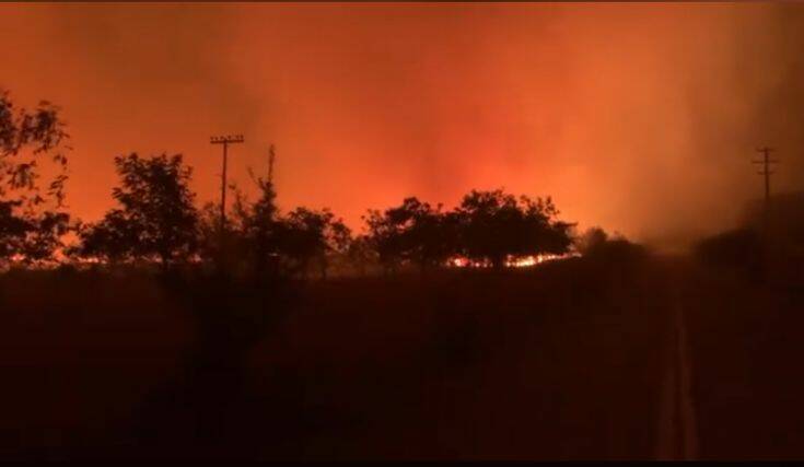 Κλιμάκιο της διεύθυνσης Αντιμετώπισης Εγκλημάτων Εμπρησμού στον Έβρο