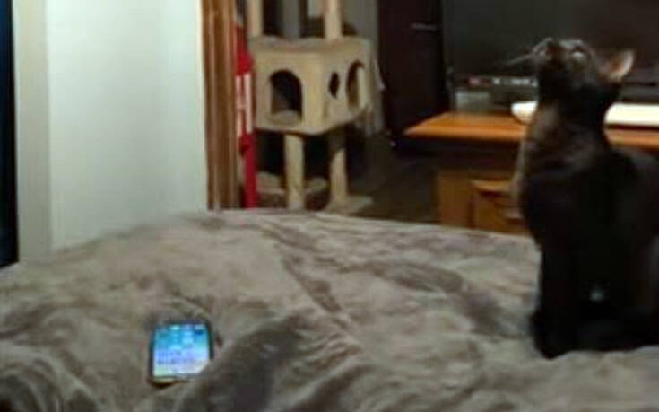 Τα βιντεάκια του Αυγούστου που έγιναν viral