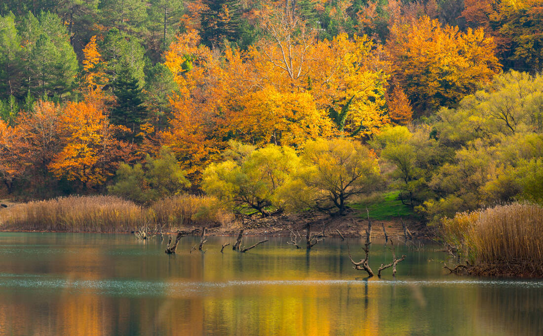 Όταν η φύση παίρνει τα πινέλα της, δημιουργεί εικόνες όπως αυτές στη λίμνη Τσιβλού