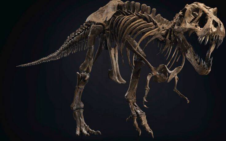 Στο σφυρί ο «Stan» &#8211; Δημοπρατείται ο σκελετός ενός από τους μεγαλύτερους γνωστούς Τ-Rex