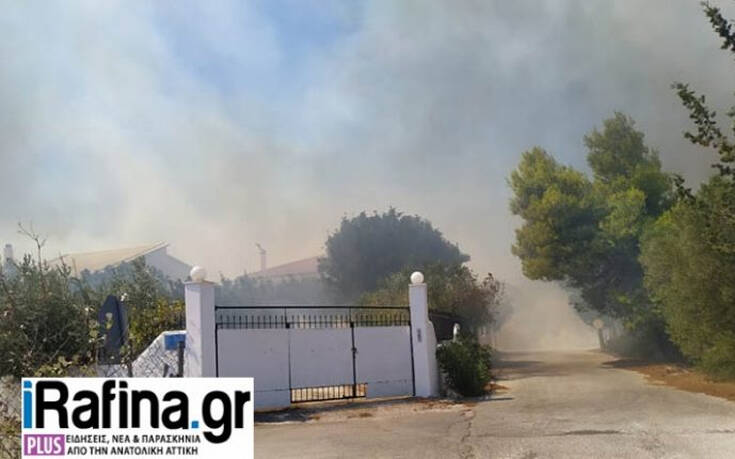 Οι πρώτες εικόνες από τη μεγάλη φωτιά στην Αρτέμιδα: Απομακρύνθηκαν κάτοικοι &#8211; Κυκλοφοριακές ρυθμίσεις