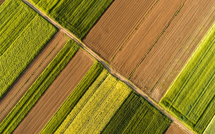 Μηνιαίο Ενημερωτικό Δελτίο Τιμών Αγροτικών Προϊόντων από την Τράπεζα Πειραιώς