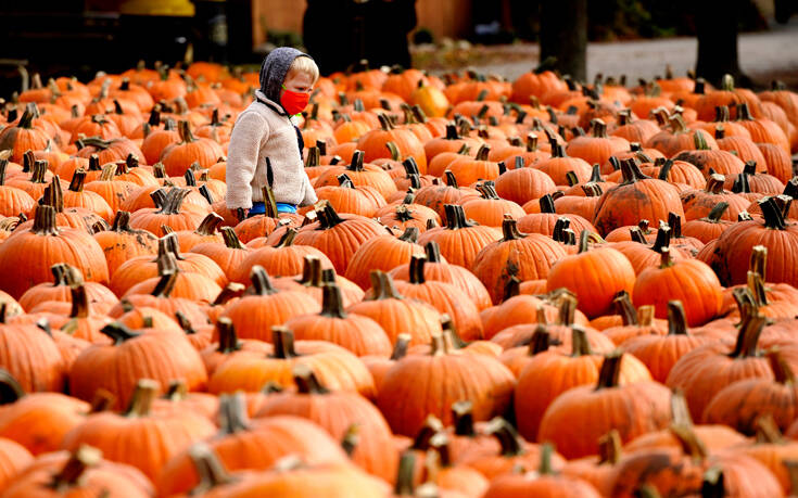 AP 20289772012083 Associated Press, the best photos of the week