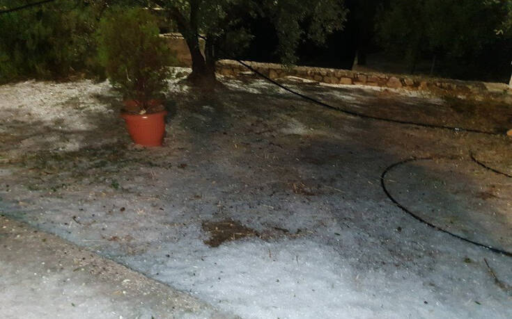 Στο έλεος της κακοκαιρίας η Κρήτη: Πτώσεις δέντρων και προβλήματα από τις έντονες βροχοπτώσεις και το χαλάζι