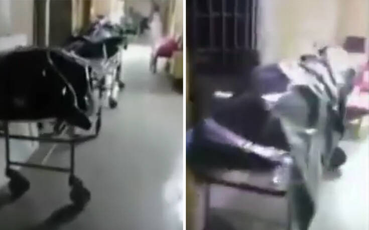 Ανατριχιαστικές εικόνες από Ρωσία: Δεκάδες πτώματα στοιβαγμένα στους διαδρόμους νεκροτομείου