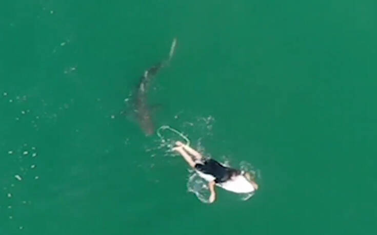 Μεγάλος λευκός καρχαρίας εμφανίζεται ξαφνικά δίπλα σε σέρφερ: «Πήγαινε για το πόδι μου»