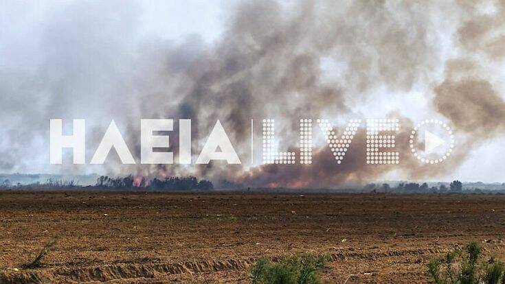 Φωτιά στη Μανωλάδα Ηλείας