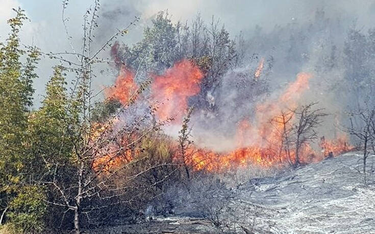 Φωτιά τώρα στον Έβρο: Κινδυνεύει το δάσος της Δαδιάς