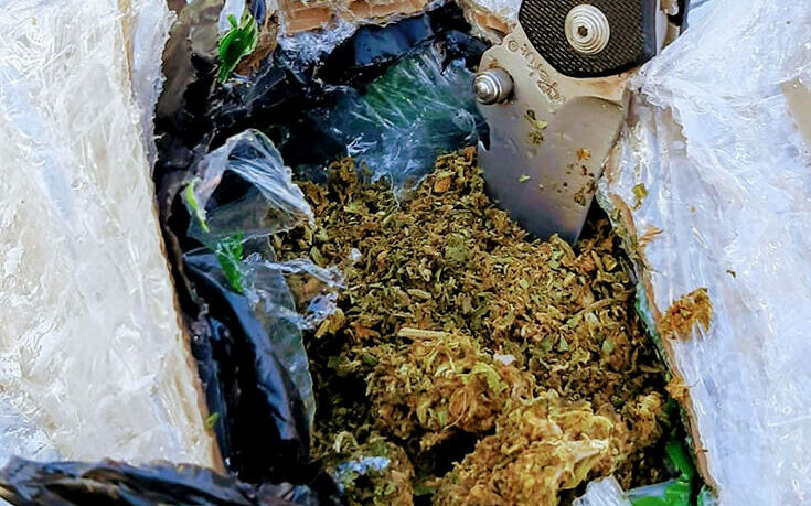 qlshnexs | Lamianow.gr