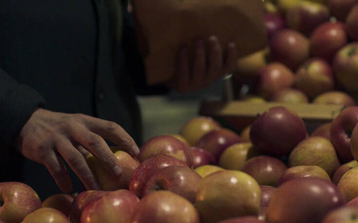«Μήλα»: Η νέα συμπαραγωγή της Nova διεκδικεί μία θέση για το Όσκαρ Διεθνούς Ταινίας