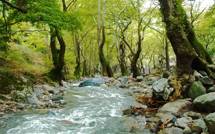 Δράσεις και έργα ύψους 750 εκατομμυρίων ευρώ για την προστασία του δασικού πλούτου της Ελλάδας
