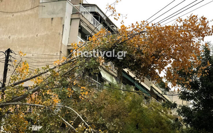 Θεσσαλονίκη: Πεσμένα δέντρα και πλημμυρισμένοι δρόμοι &#8211; Δείτε τις εικόνες