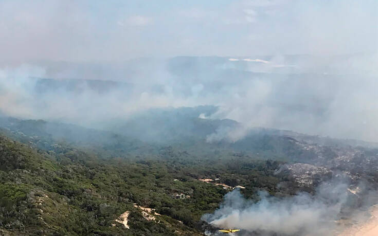Αυστραλία: Υπό έλεγχο οι πυρκαγιές στη νήσο Φρέιζερ – Καταστράφηκαν πάνω από τα μισά δάση