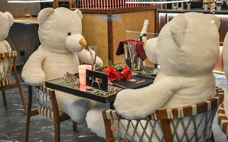 Αρκούδοι αντί πελατών σε μπαρ της Καρδίτσας &#8211; Η εικόνα που εντυπωσίασε