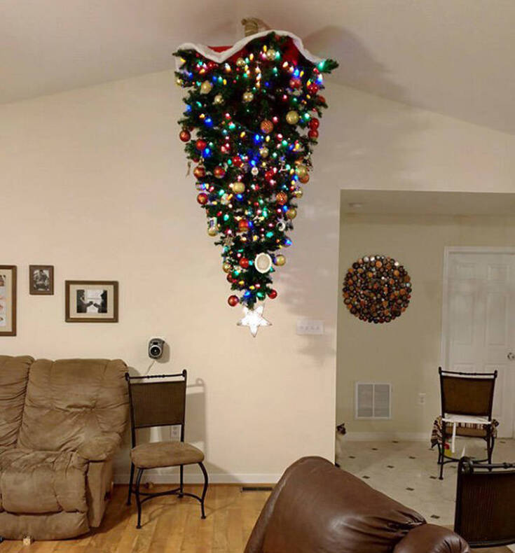 Όταν θες να στολίσεις χριστουγεννιάτικο δέντρο αλλά έχεις κατοικίδιο