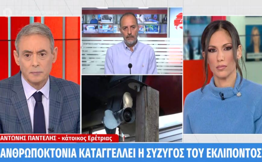 Σήφης Βαλυράκης: «Δεν είδα άλλο σκάφος κοντά στο φουσκωτό του» λέει κάτοικος της Ερέτριας