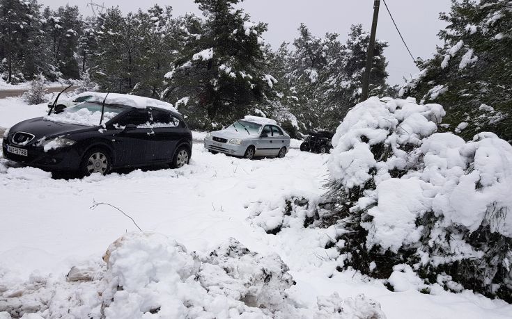 Προβλήματα έφερε η κακοκαιρία Μπάρμπαρα στην Κρήτη: Στα 20 εκατοστά το χιόνι μέσα σε χωριά του Λασιθίου