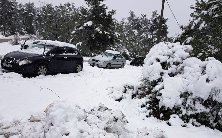 Τσουχτερό κρύο, θυελλώδεις άνεμοι και χιόνια &#8211; Ο καιρός των Χριστουγέννων