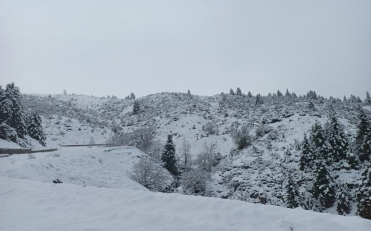 Ο καιρός σήμερα 23/1/2022