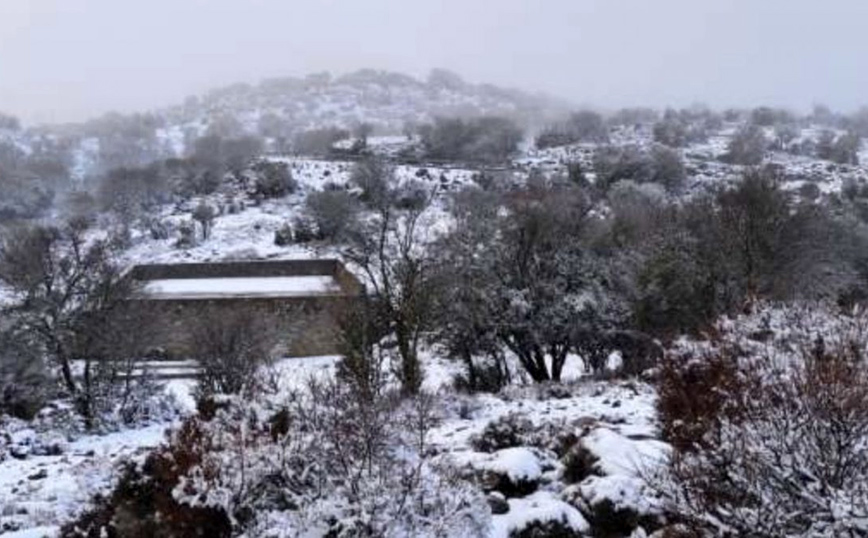 Εικόνες από τον χιονισμένο Ψηλορείτη