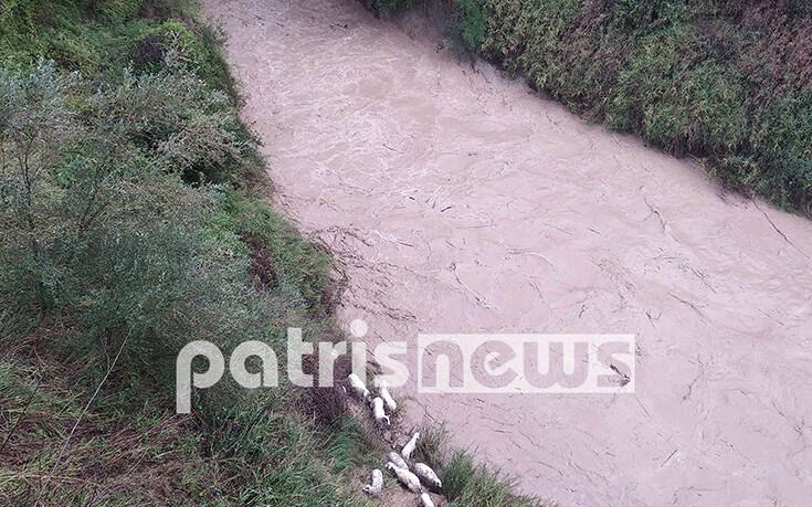 Κακοκαιρία: Εικόνες από τις πλημμύρες στην Ηλεία