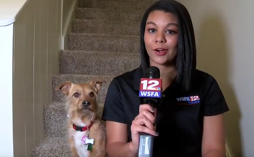 Η εργασία από το σπίτι για τους παρουσιαστές ειδήσεων έχει και απρόοπτα