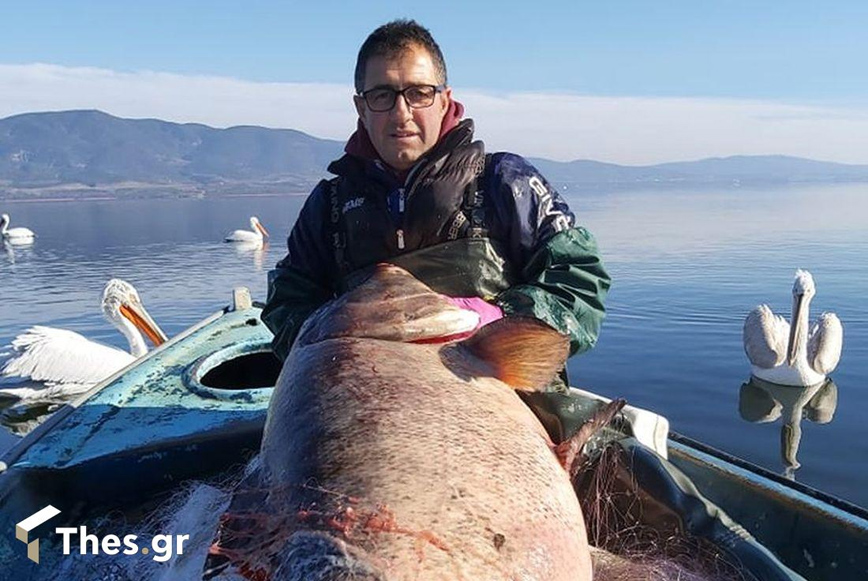 Τεράστια ψαριά για δύο αδέρφια στη Βόλβη – Έβγαλαν Σίλβερ 85 κιλών