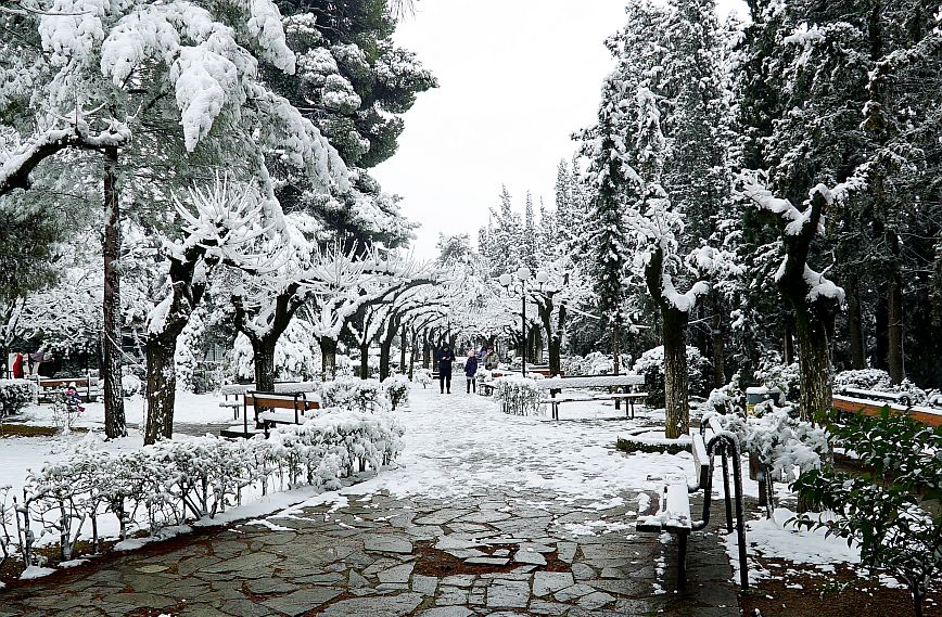 Πού θα παραμείνουν κλειστά τα σχολεία λόγω της κακοκαιρίας