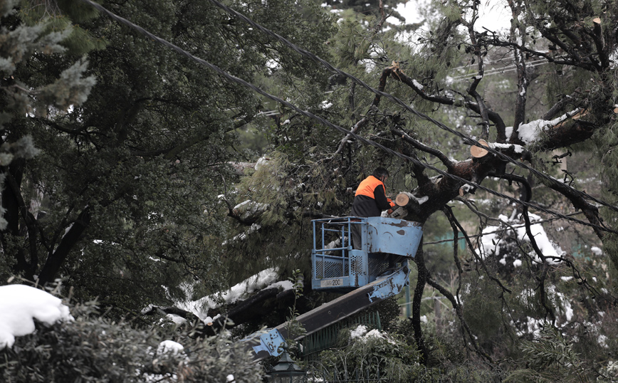 ΔΕΔΔΗΕ: Ακόμα 3.500 νοικοκυριά χωρίς ρεύμα σε Εκάλη, Διόνυσο, Αγ. Στέφανο, Κρυονέρι, Άνοιξη, Δροσιά και Κάλαμο