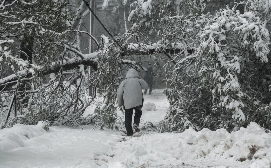 Κακοκαιρία Μήδεια: Χωρίς ρεύμα παραμένουν 40.000 νοικοκυριά &#8211; Συνεχίζει τις εργασίες ο ΔΕΔΔΗΕ