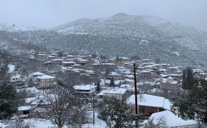 Κακοκαιρία «Μήδεια»: Οι περιοχές σε Δυτική Ελλάδα και Πελοπόννησο που δεν θα λειτουργήσουν αύριο τα σχολεία