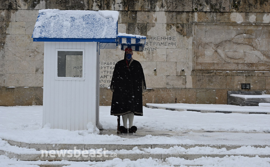 Οι εύζωνες φόρεσαν τις κάπες τους και κοιτούν ακίνητοι το χιονισμένο Σύνταγμα