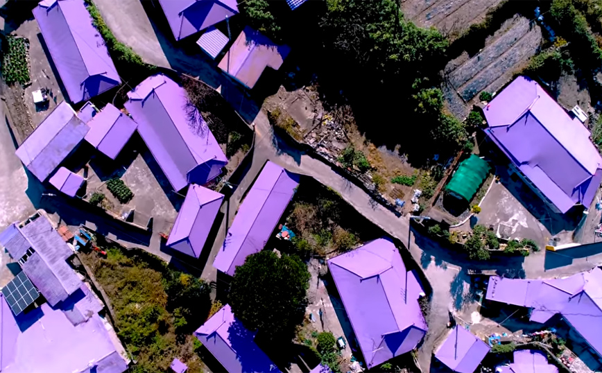 Το νησί που βάφτηκε μοβ στη Νότια Κορέα