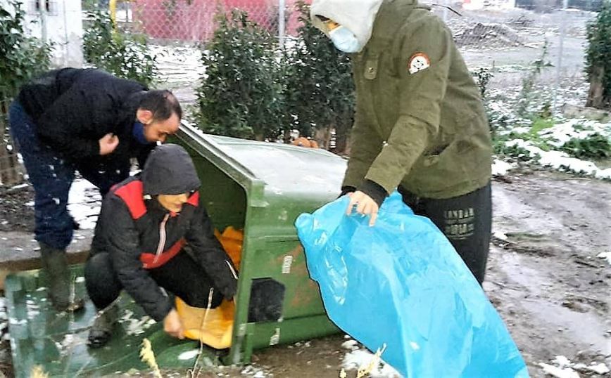 Κατεστραμμένοι κάδοι απορριμμάτων έγιναν καταφύγια αδέσποτων στην παγωνιά