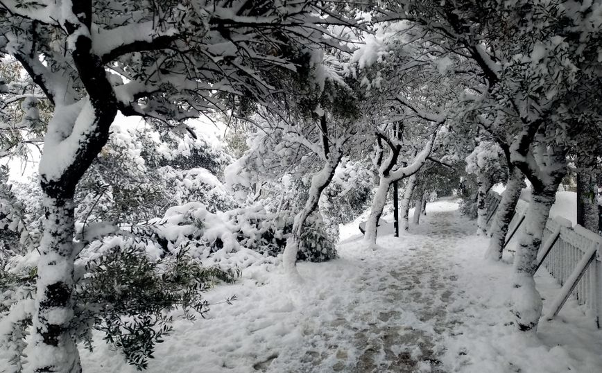 Καιρός: Ρεκόρ βροχόπτωσης και χιονοκάλυψης για αρχές Δεκεμβρίου στην Ελλάδα