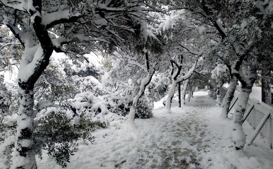 Έπεσαν τα πρώτα χιόνια της χρονιάς στα χιονοδρομικά κέντρα της Βόρειας Ελλάδας