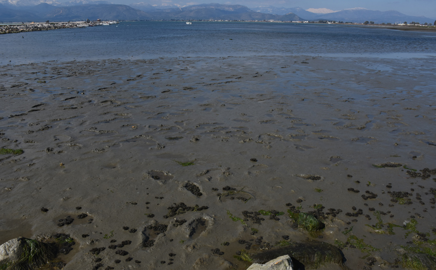 Η πλατφόρμα ωκεανογραφικής παρατήρησης MARINOMICA δίνει τη δυνατότητα παρακολούθησης της παλίρροιας στη Μεσόγειο