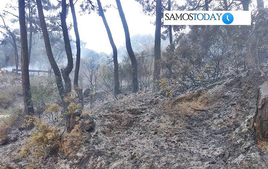 Σάμος: Σε ύφεση η φωτιά σε δασική έκταση στην περιοχή Κοντοκαίικα