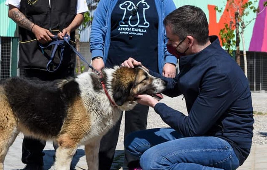 Έτοιμο από τον Δήμο Αθηναίων το πρώτο σύγχρονο καταφύγιο αδέσποτων ζώων