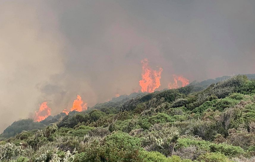 Σε ύφεση η πυρκαγιά στην Άνδρο