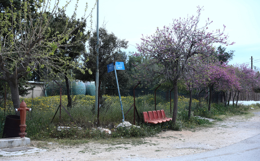 Επίθεση με καυστικό υγρό στην Κυψέλη: Από το παρελθόν της κοπέλας ο δράστης