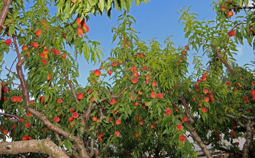 Σύνδεσμος Βιομηχανιών Ελλάδας: Να κηρυχθεί σε κατάσταση έκτακτης ανάγκης η Κεντρική Μακεδονία