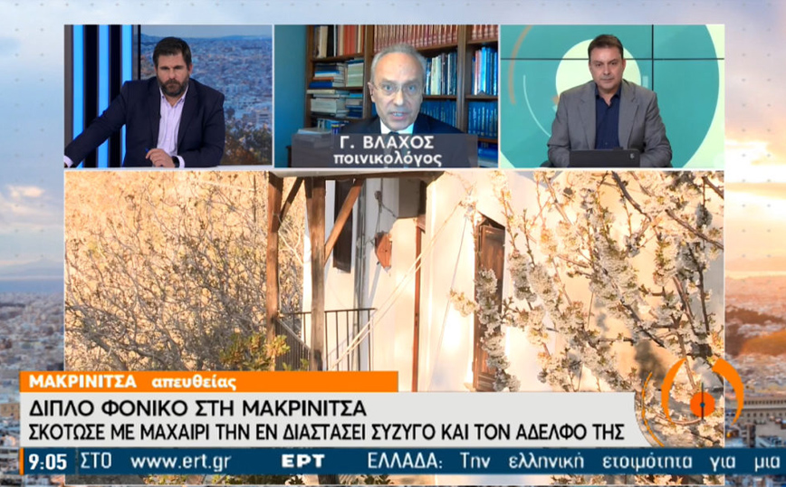 Διπλό φονικό στη Μακρινίτσα: «Η βασική αστοχία ήταν των ψυχιάτρων»