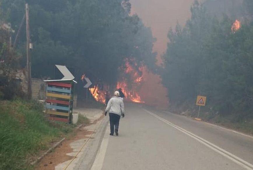 Σάμος: Σε εξέλιξη πυρκαγιά σε δασική έκταση