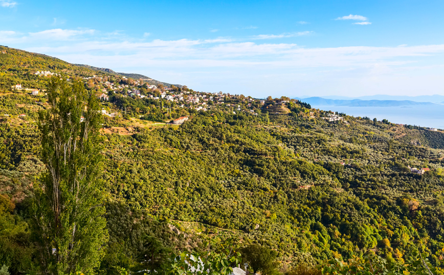 Γιατί ένα road trip στο ανατολικό Πήλιο θα σας μείνει πραγματικά αξέχαστο