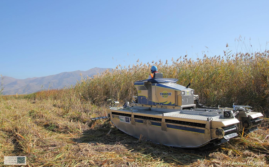 Μικρή Πρέσπα: Ένα αμφίβιο όχημα στη «μάχη» για τη διαχείριση των πυκνών καλαμιώνων